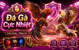 Giao diện đá gà 4abssolutions